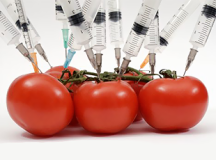 GMO – The Food Industry’s Choice