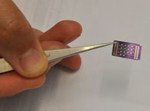 Electronic nose nanosensor could boost traceability efficiency