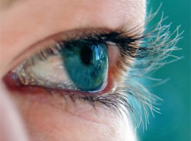 FDA Aims to Study How People Perceive Food Label Information by Tracking Eye Movement