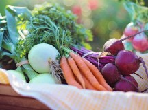 Economic Effects of FSMA’s Produce Safety Rule