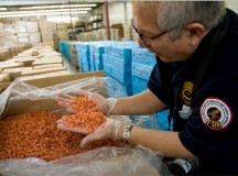 How Will FSMA’s Voluntary Qualified Importer Program Work?