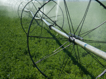 Comments Sought in Ag Water Component of FSMA